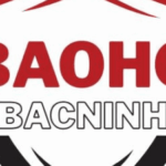 Profile picture of Bảo hộ lao động Bắc Ninh