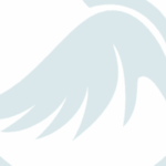 Profile picture of chim canh quy tran