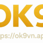 Profile picture of ok9vnapp ok9vnapp