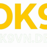 Profile picture of ok9vndev ok9vndev