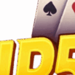 Profile picture of vip52com vip52com