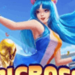 Profile picture of bigboss01 bigboss01