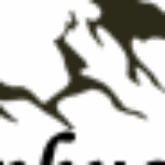 Profile picture of Mũ Bảo Hiểm Halo Phượt