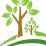 Profile picture of Cây Công Trình