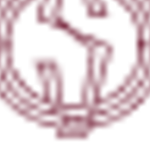 Profile picture of The Sentosa Vinhomes Star City