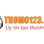 Profile picture of THOMO123 NET