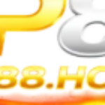 Profile picture of Nhà Đài TIP88