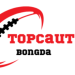 Profile picture of topcauthu com