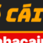 Profile picture of Nhà Đài 7NHACAIUYTIN