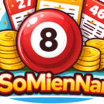 Profile picture of xosomiennamio xosomiennamio