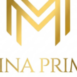 Profile picture of Mina Prime Properties LLC
