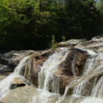 Profile picture of Chapman Inn