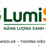 Profile picture of Quang luu